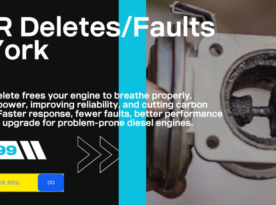 EGR Deletes in York and Surrounding Areas